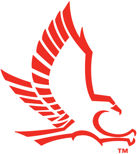 Hartford Hawks 1984-Pres Secondary Logo diy iron on heat transfer